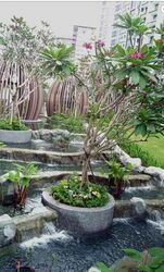Bartley Ridge (D13), Condominium #354074351